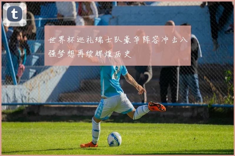 世界杯巡礼瑞士队豪华阵容冲击八强梦想再续辉煌历史